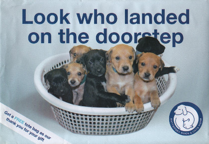 Junk mail from Battersea Dogs and Cats Home.